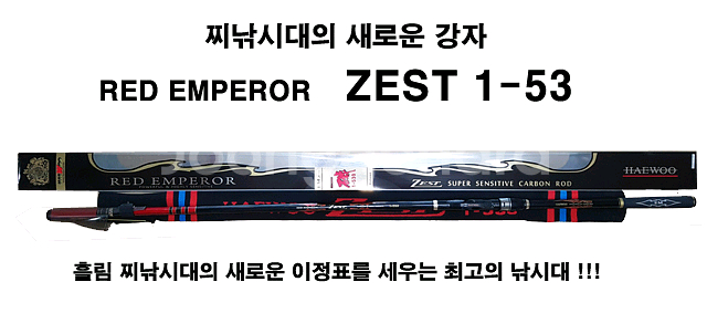 최신형 고급 EM가이드 해우 제스트기 1호대 2호대--0