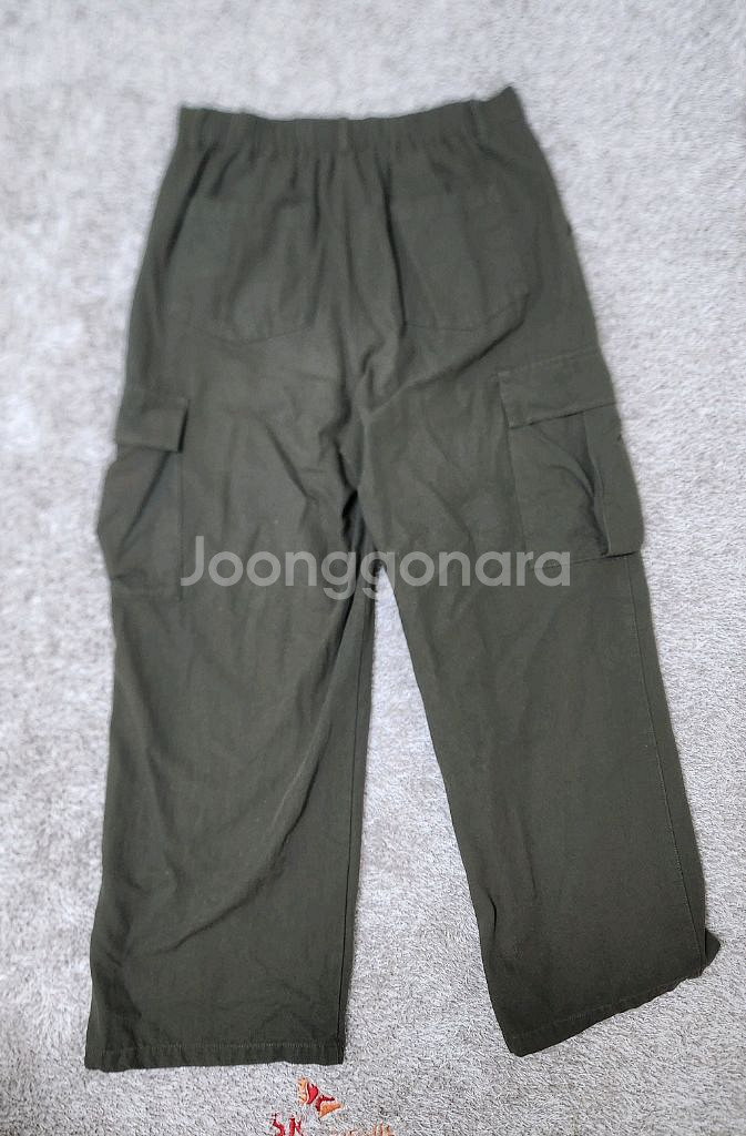 카고팬츠--2