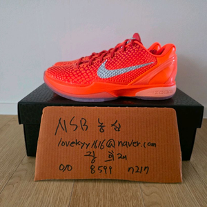 코비6 토탈오렌지 260 새제품