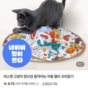 리스펫 꼬리잡기 장난감