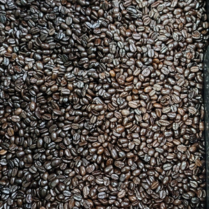 연습용(라떼용) 원두 1kg 단위로 판매 합니다. 이미지