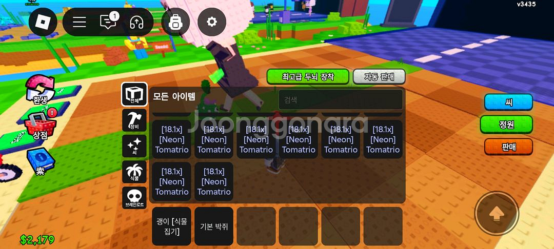 식물대 브레인롯 814k 토마토 최저가--1