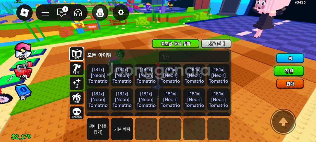 식물대 브레인롯 814k 토마토 최저가--0