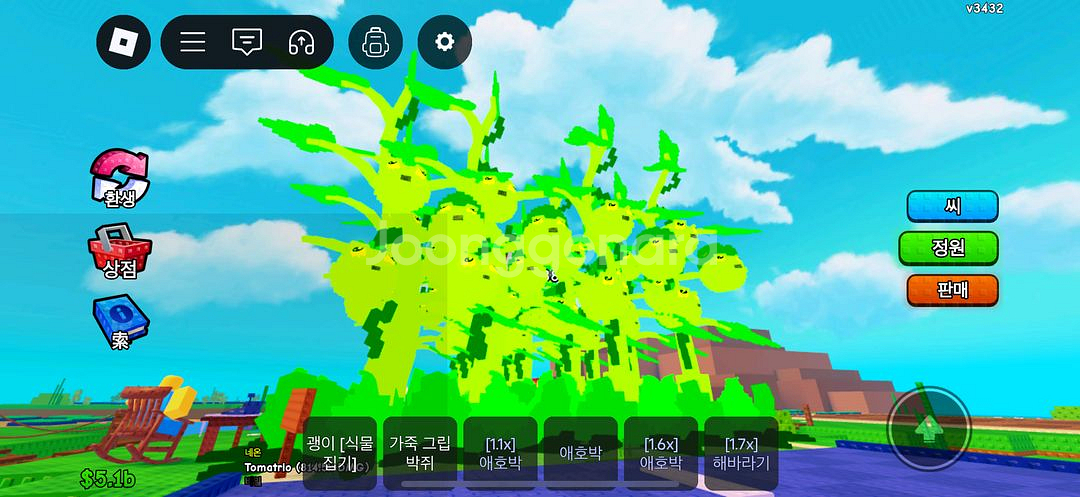 식물대 브레인롯 814k 토마토 최저가--2