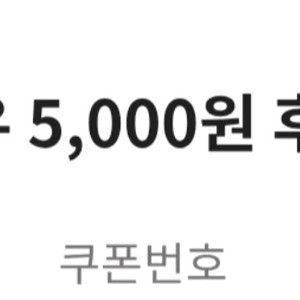 GS칼텍스 주유 금액권 + 세차 할인권 + 정비할인권