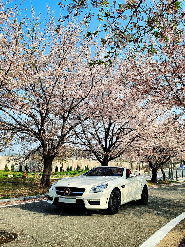 벤츠r172 slk 55amg 순정 바디킷--0