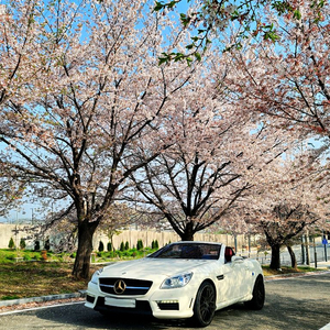벤츠r172 slk 55amg 순정 바디킷
