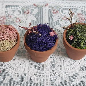 새상품)습기제거 스칸디아모스 토분 프리저브드 조화 아님