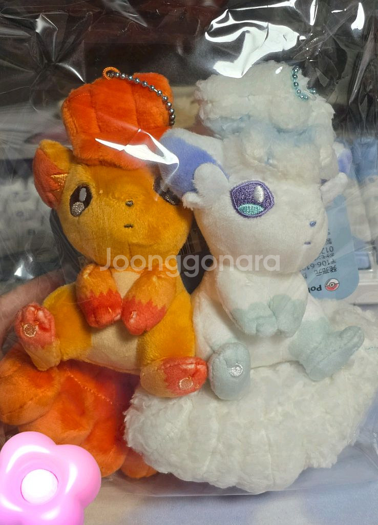 포켓몬 식스테일 너랑 나랑 자석 키링--0