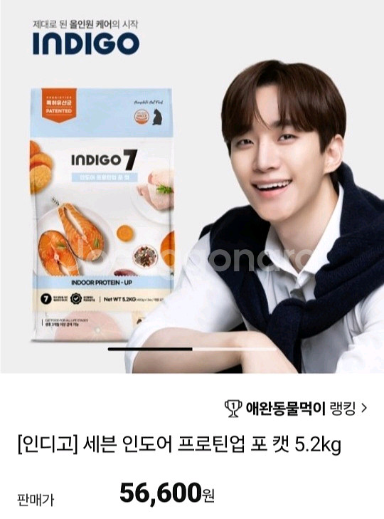 인디고 고양이 사료 5.2KG--0