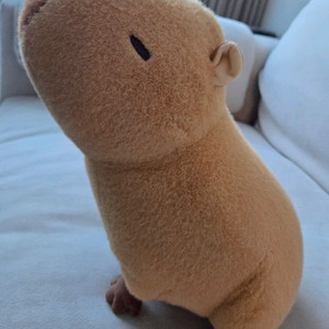 에버랜드 카피바라 인형 이미지