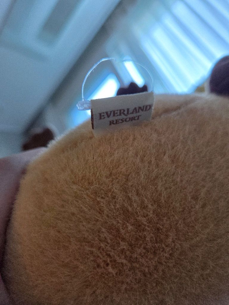 에버랜드 카피바라 인형 이미지