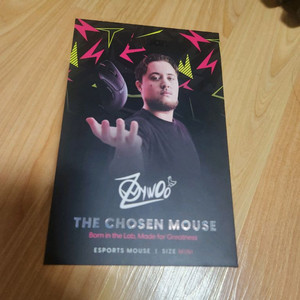 펄사 자이우 미니 블랙