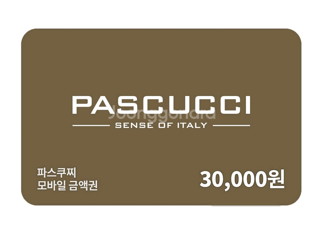 파스쿠찌 30,000원 금액권 파스쿠치 파스꾸찌--0