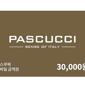 파스쿠찌 30,000원 금액권 파스쿠치 파스꾸찌