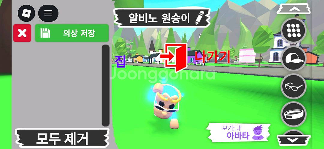 입양하세요 펫 메가네온 알비노 원숭이(메알몽)판매합니다--0