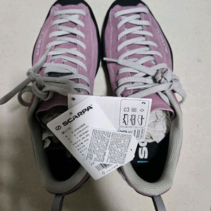 스카르파 모히토 핑크(치프리아) 245