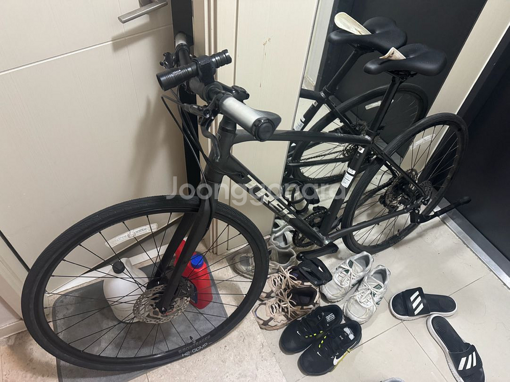 트렉 fx3 m사이즈 2023년식--1