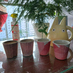 블리스볼 화분 이미지