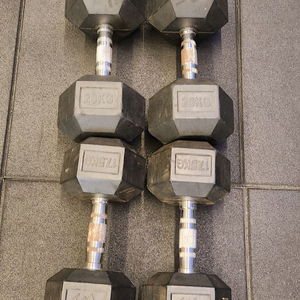 육각덤벨
