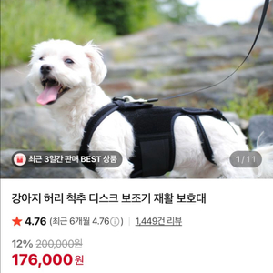 펫츠오앤피 척추 보호대
