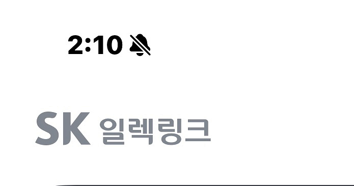 SK일렉링크 크레딧 17만9천크레딧--0