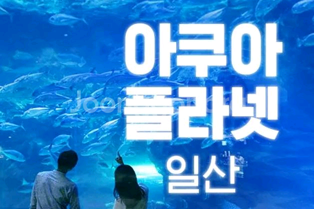 일산 아쿠아플라넷 종합권--0