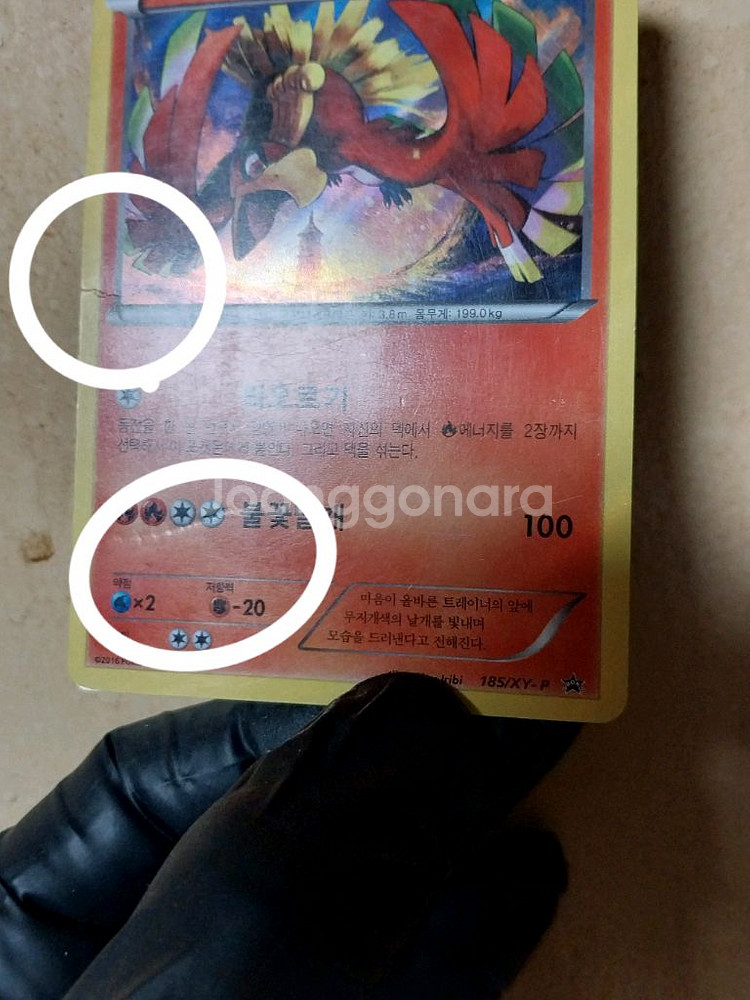 포켓몬카드 칠색조 xy 프로모 2종 일괄--2
