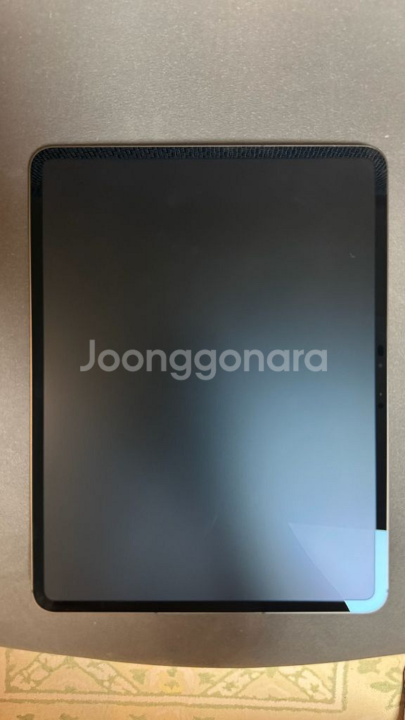 아이패드 프로 M4 13인치 2TB 셀룰러 나노택스쳐--0