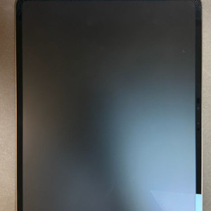 아이패드 프로 M4 13인치 2TB 셀룰러 나노택스쳐