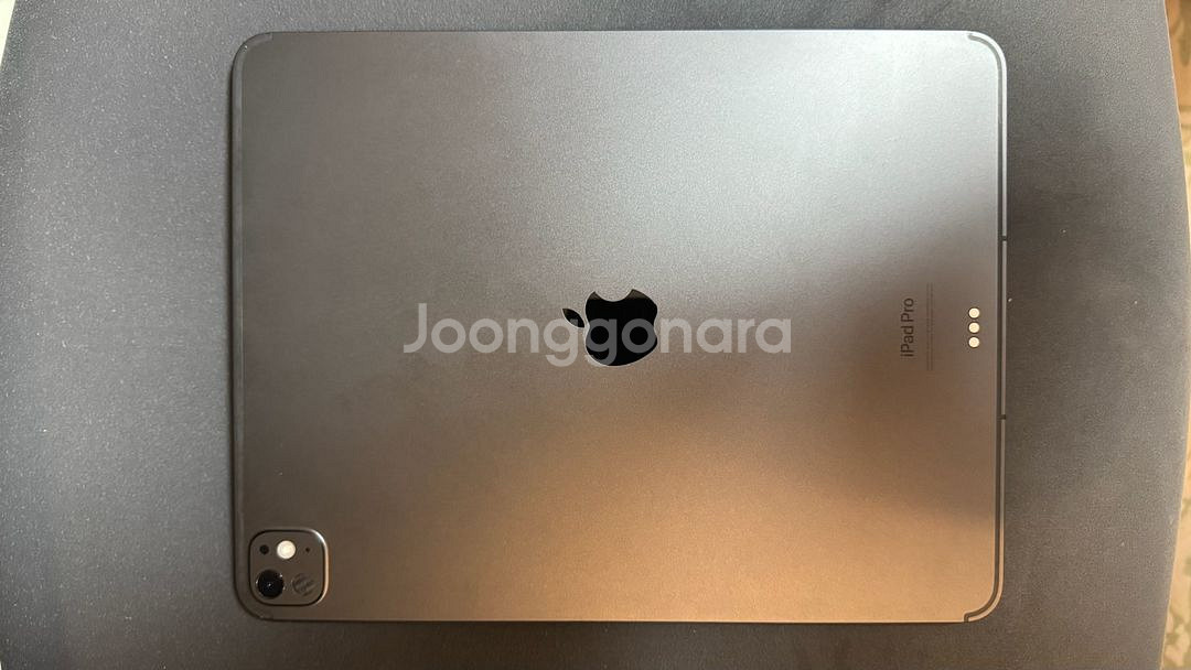 아이패드 프로 M4 13인치 2TB 셀룰러 나노택스쳐--1