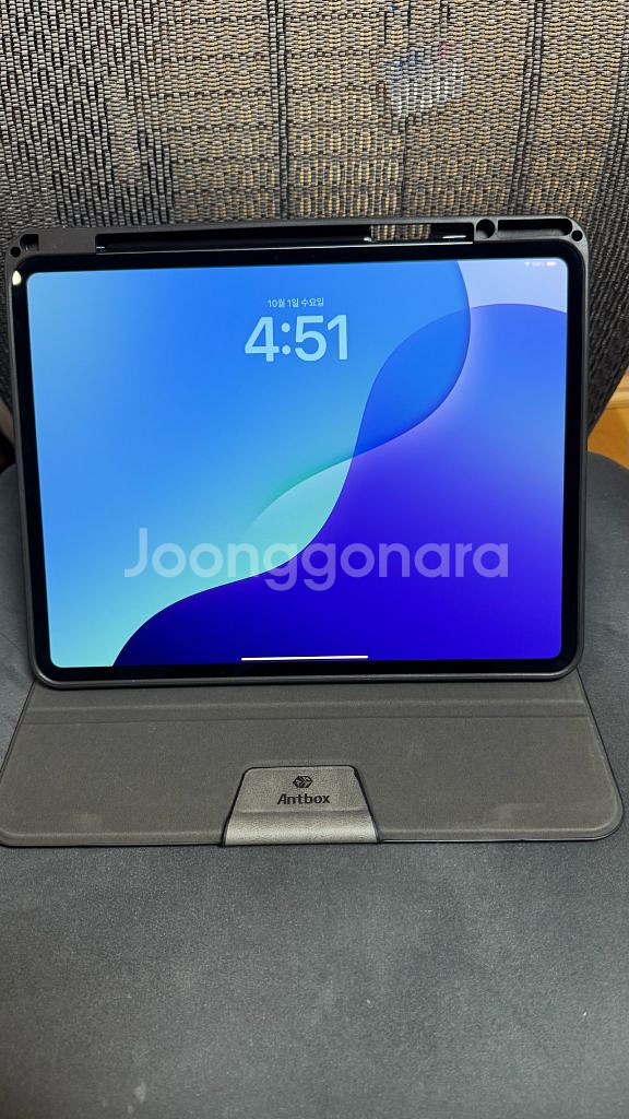 아이패드 프로 M4 13인치 2TB 셀룰러 나노택스쳐--6