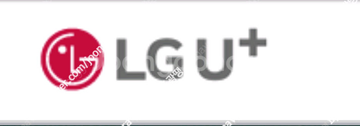 엘지 유플러스 LG 2기가 데이터 데이타 3000천원--0