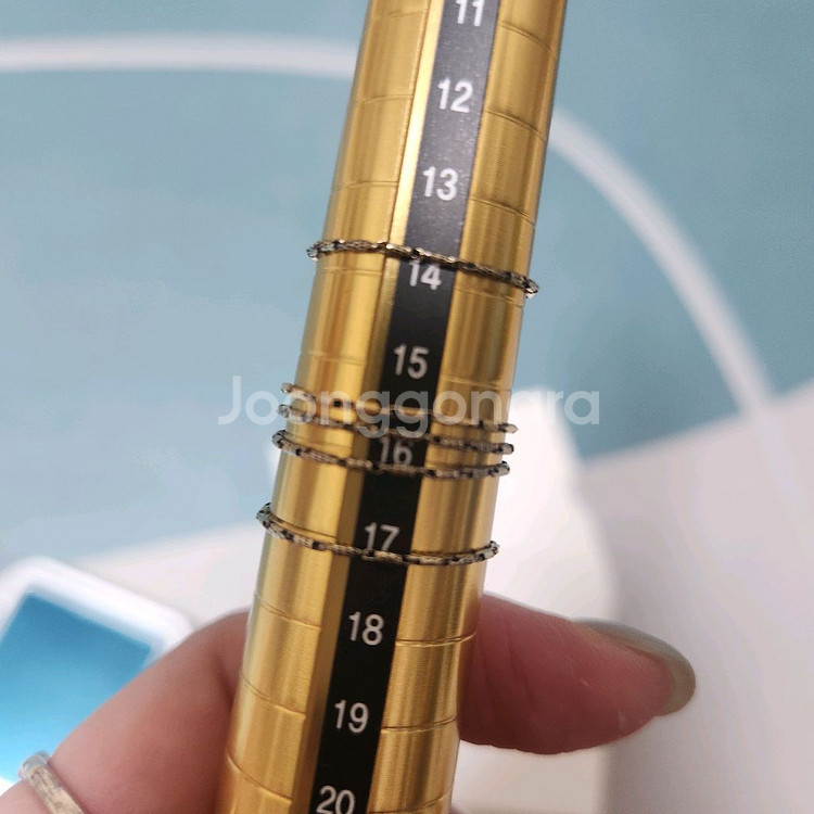 페르테반지--0