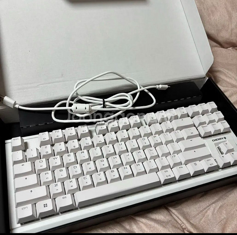 CHERRY MX1.1 TKL 기계식 키보드 적축--1