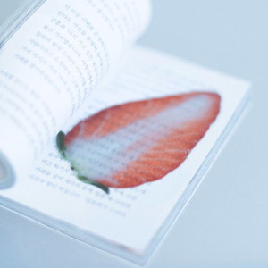 이옥토 딸기 책갈피