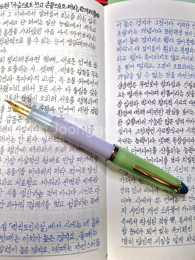 세일러 뷔페만년필 MF촉--0