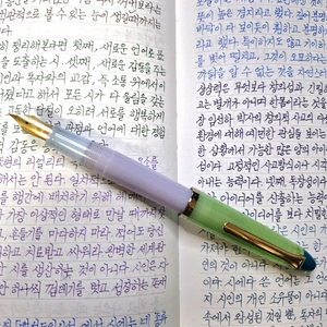 세일러 뷔페만년필 MF촉