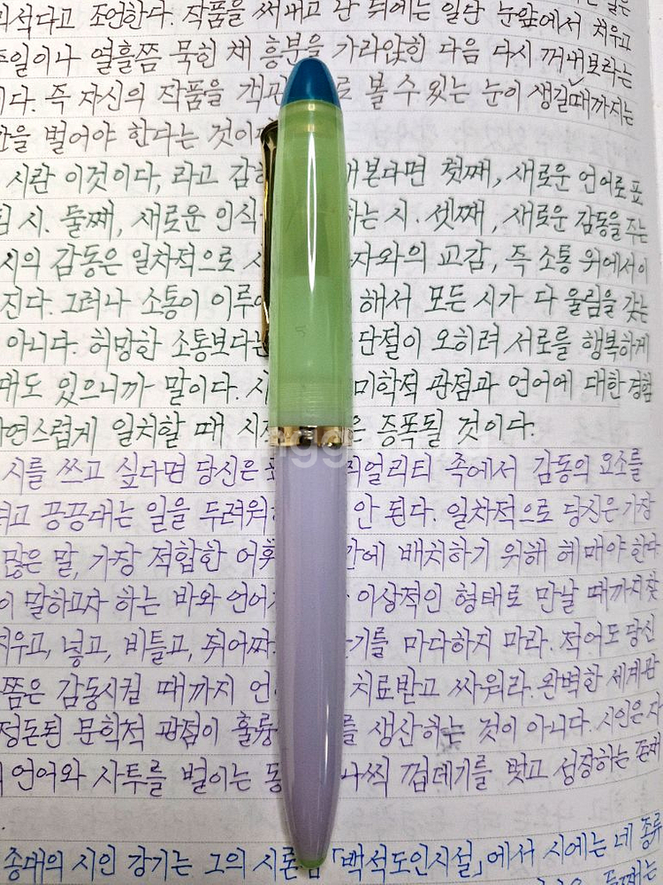 세일러 뷔페만년필 MF촉--1