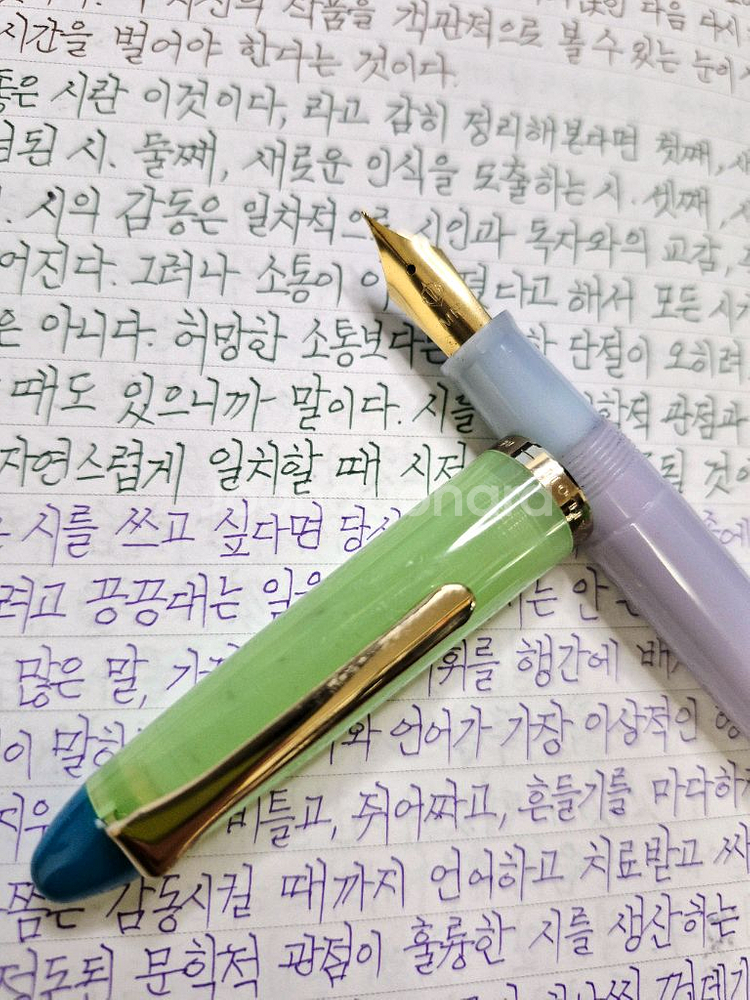 세일러 뷔페만년필 MF촉--2