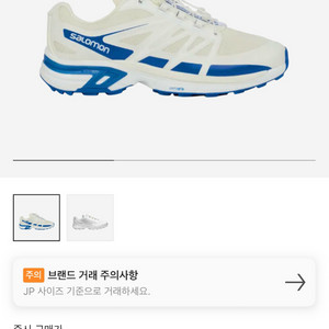 [275] 살로몬 자운드 XT-윙스 2 화이트 블루