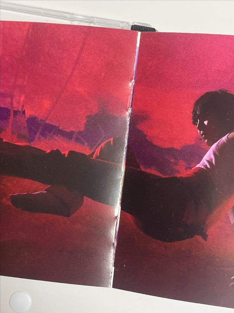 빅뱅 지드래곤 지디 위버멘쉬 해외 핑크앨범 얼지님 포카 이미지