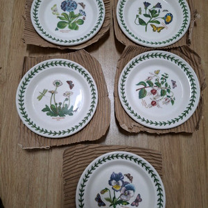 보타닉가든 앞접시