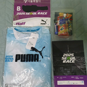 서울레이스 하프코스 패키지, B조, 기념티(L)