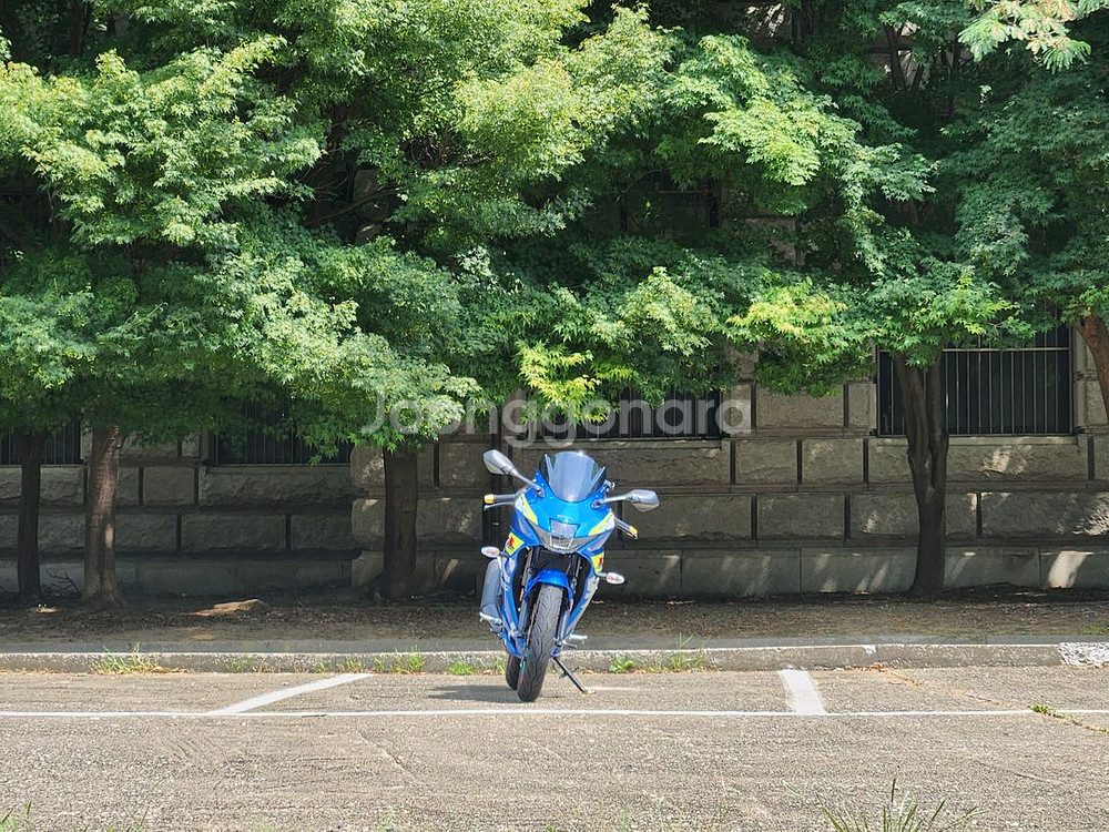 스즈키 GSXR125--2