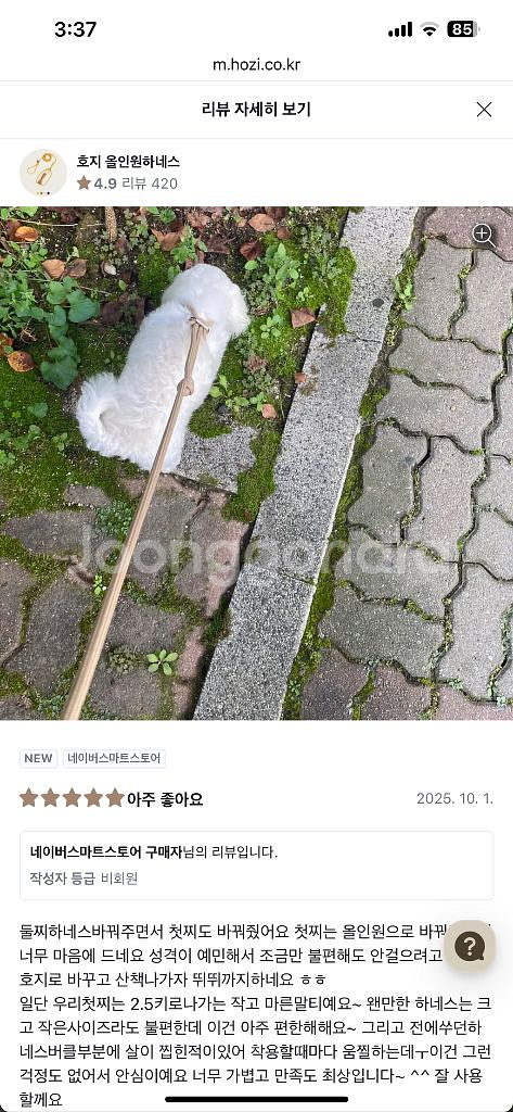 새상품) 호지 올인원 하네스 베이지 S--3