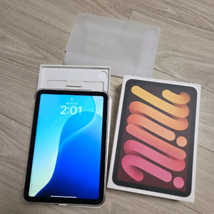 아이패드미니6 셀룰러 256g+애케플 팝니다