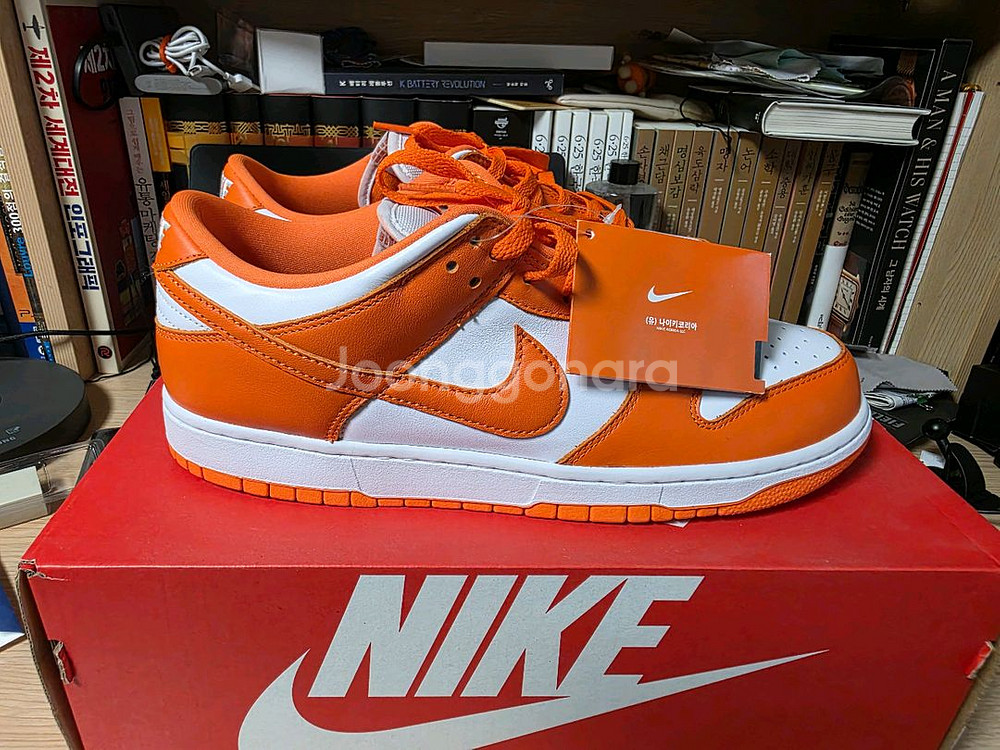 나이키 덩크 시라큐스 2022--4