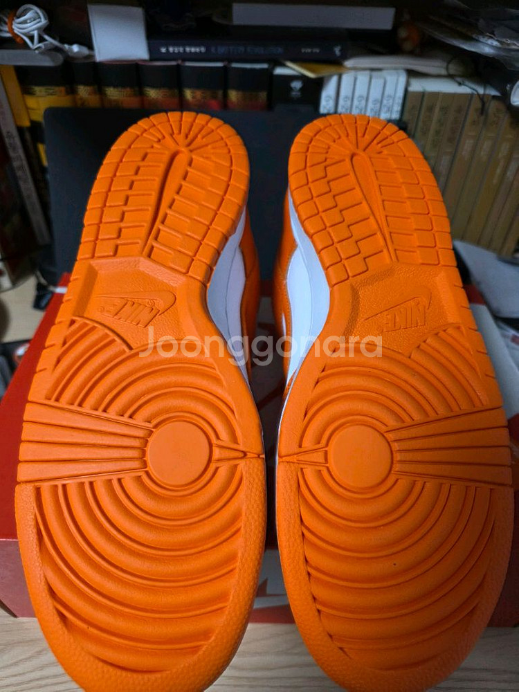 나이키 덩크 시라큐스 2022--6