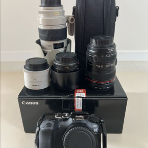캐논 R6 Mark II 카메라 + EF 렌즈 세트